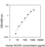 Human RCOR1/CoREST ELISA Kit