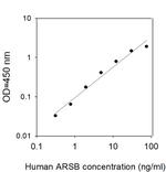 Human Arylsulfatase B/ARSB ELISA Kit