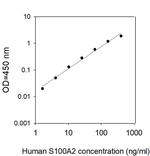 Human S100 A2 ELISA Kit