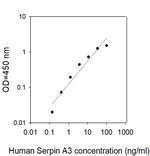 Human Serpin A3/Alpha-1-Antichymotrypsin ELISA Kit
