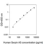 Human Serpin A5/Protein C Inhibitor ELISA Kit
