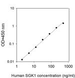 Human SGK1 ELISA Kit