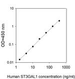 Human ST3GAL1 ELISA Kit