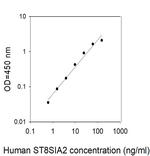 Human ST8SIA2 ELISA Kit
