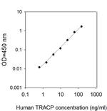 Human TRACP/PAP/ACP5 ELISA Kit