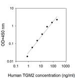 Human Transglutaminase 2/TGM2 ELISA Kit