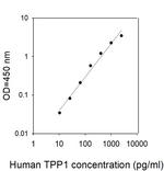 Human Tripeptidyl-peptidase I/TPP1 ELISA Kit