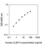Human ULBP-4/RAET1E ELISA Kit