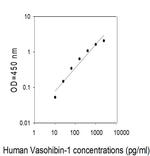 Human Vasohibin-1 ELISA Kit