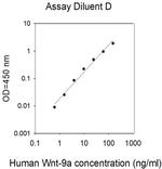 Human Wnt-9a ELISA Kit