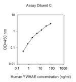 Human YWHAE ELISA Kit