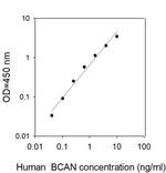 Human Brevican ELISA Kit