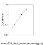 Human 5'-Nucleotidase/CD73 ELISA Kit