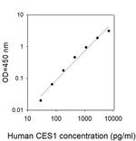 Human Carboxylesterase 1/CES1 ELISA Kit