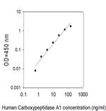 Human Carboxypeptidase A1/CPA1 ELISA Kit