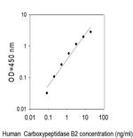Human Carboxypeptidase B2/CPB2 ELISA Kit