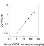 Human Carnosine Dipeptidase-1/CNDP1 ELISA Kit