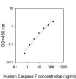 Human Caspase-7 ELISA Kit