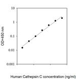 Human Cathepsin C ELISA Kit