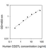 Human CD27 Ligand/TNFSF7 ELISA Kit