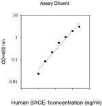 Human/Mouse BACE1 ELISA Kit