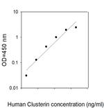 Human Clusterin ELISA Kit