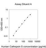 Human Cathepsin S/CTSS ELISA Kit