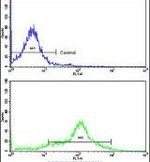 EHD3 Antibody in Flow Cytometry (Flow)
