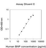 Human NPPB/BNP ELISA Kit
