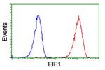 EIF1 Antibody in Flow Cytometry (Flow)