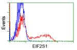EIF2S1 Antibody in Flow Cytometry (Flow)