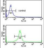 eIF4A2 Antibody in Flow Cytometry (Flow)