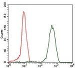 eIF4B Antibody in Flow Cytometry (Flow)