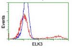 ELK3 Antibody in Flow Cytometry (Flow)