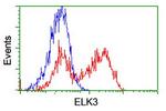 ELK3 Antibody in Flow Cytometry (Flow)