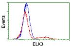ELK3 Antibody in Flow Cytometry (Flow)