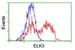 ELK3 Antibody in Flow Cytometry (Flow)