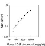 Mouse CD27 ELISA Kit