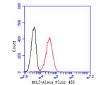 Bcl-2 Antibody in Flow Cytometry (Flow)