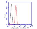Myeloperoxidase Antibody in Flow Cytometry (Flow)