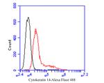 Cytokeratin 14 Antibody in Flow Cytometry (Flow)