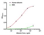 Albumin Antibody in ELISA (ELISA)