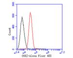 COX2 Antibody in Flow Cytometry (Flow)