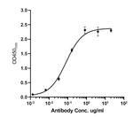 Myc-tag Antibody in ELISA (ELISA)