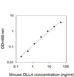 Mouse DLL4 ELISA Kit