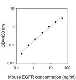 Human/Mouse EGFR/ErbB1 ELISA Kit