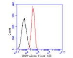 CD19 Antibody in Flow Cytometry (Flow)
