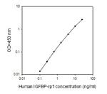 Mouse IGFBP-rp1/IGFBP-7 ELISA Kit