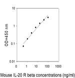 Mouse IL-20 R beta ELISA Kit