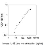 Mouse IL-36 beta/IL-1F8 ELISA Kit